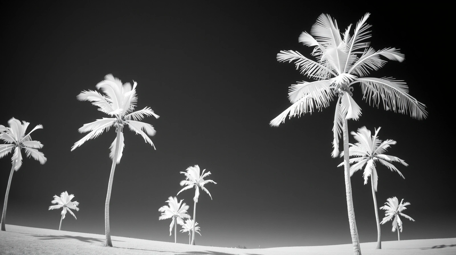 Visión infrarroja de seguridad digital